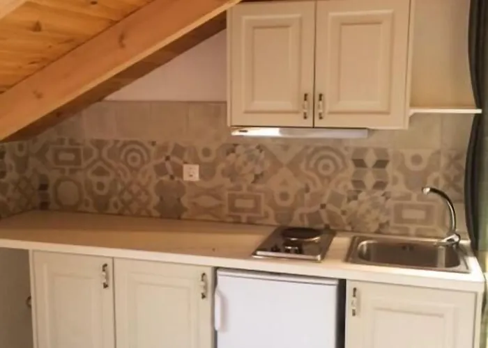 Guest house Yasemi 3*