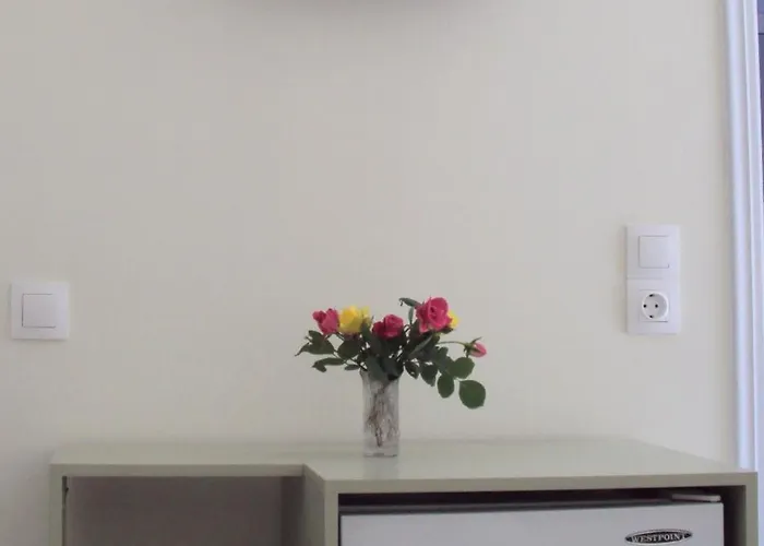 Yasemi Guest house 3*