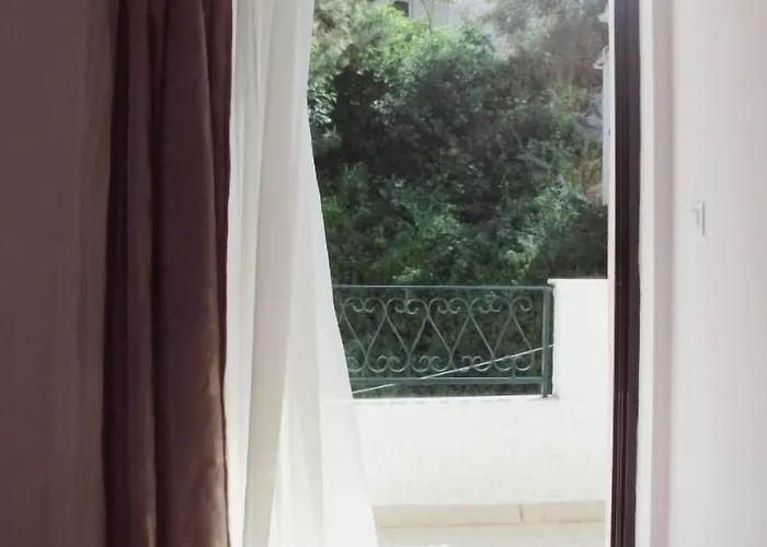 Guest house Yasemi 3*