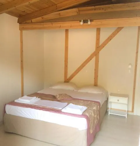 Guest house Yasemi 3*